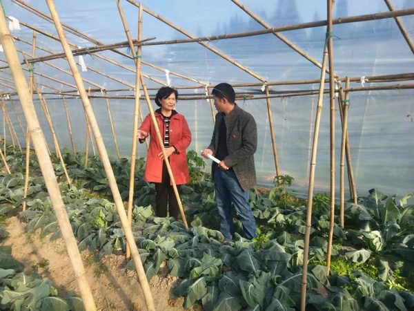 貴州省教育廳督查組到水豐村蔬菜供保基地指導工作