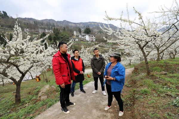 蜈蚣橋黨支部正在走訪果。