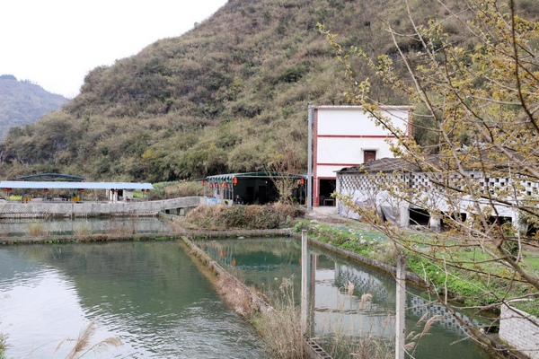 坐落於貓跳河沿岸的農家樂。