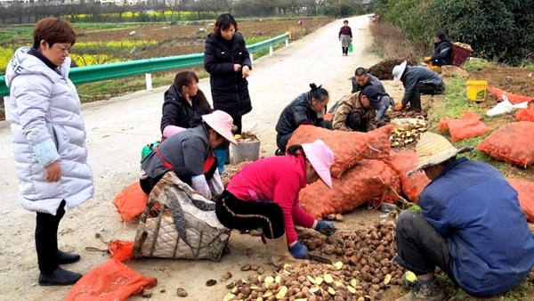 修文县各乡镇人口有多少_修文县人民医院(2)