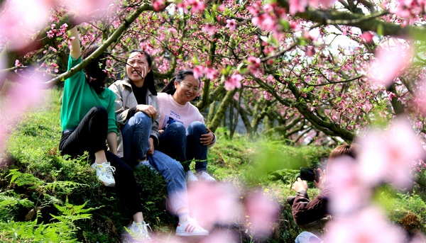 大方县猫场镇长沙村“花果山”上，几名游客在花下拍照合影。周训贵摄