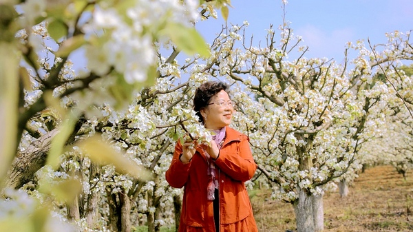 修文縣谷堡鎮折溪村：春暖花開游客來。