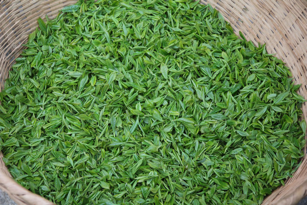 沿河姚溪村茶