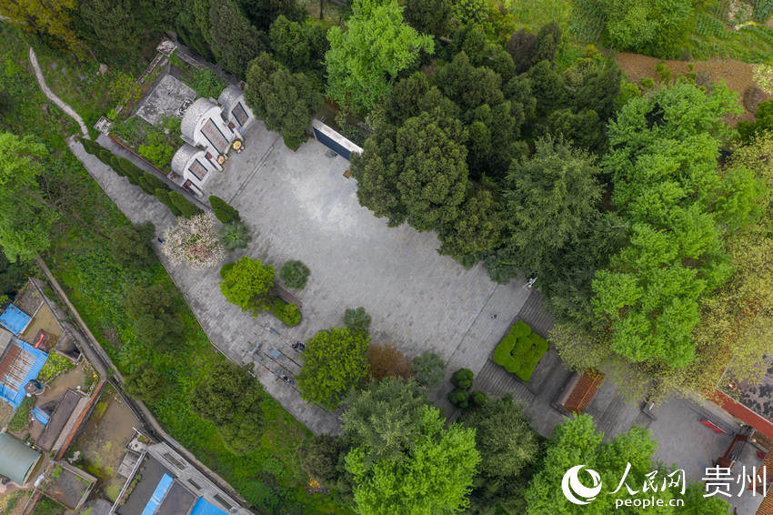 航拍綠樹成蔭的魯班紅軍烈士陵園。人民網 涂敏攝