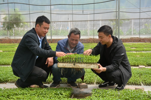 市級領軍人才錢春平（左）在指導農戶培育辣椒苗。