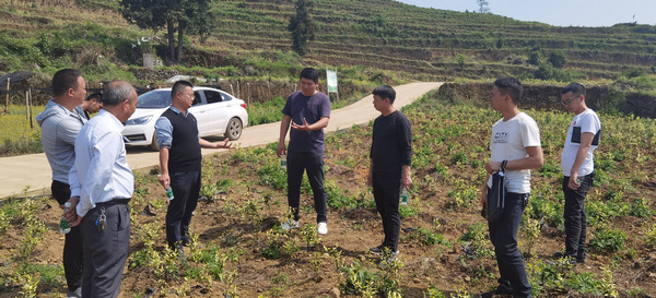 農業科技服務隊員走進田間地頭為農民進行技術指導。