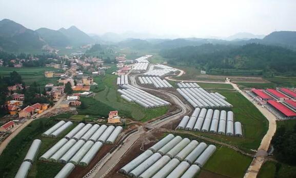 大連援建噠啦仙谷農業扶貧產業園區俯瞰。