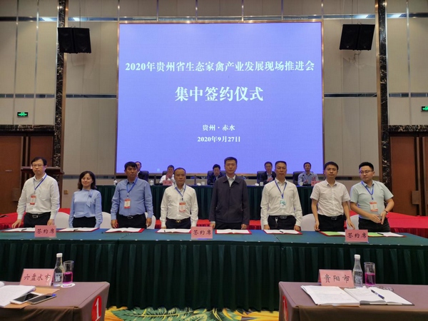 光大銀行貴陽分行黨委書記、行長趙軍強在赤水市參加2020年貴州省生態家禽產業發展現場推進會。光大銀行貴陽分行供圖