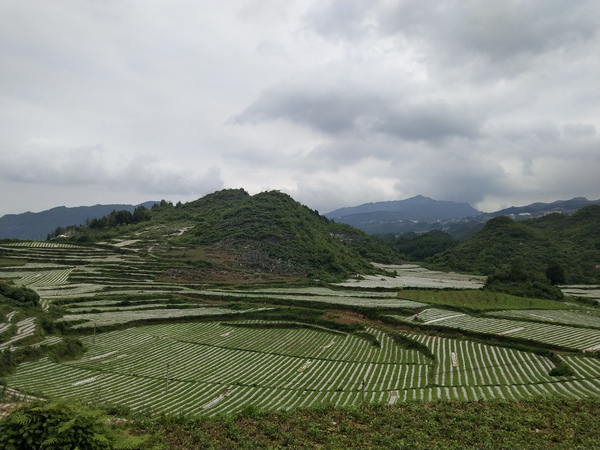 林口鎮一角
