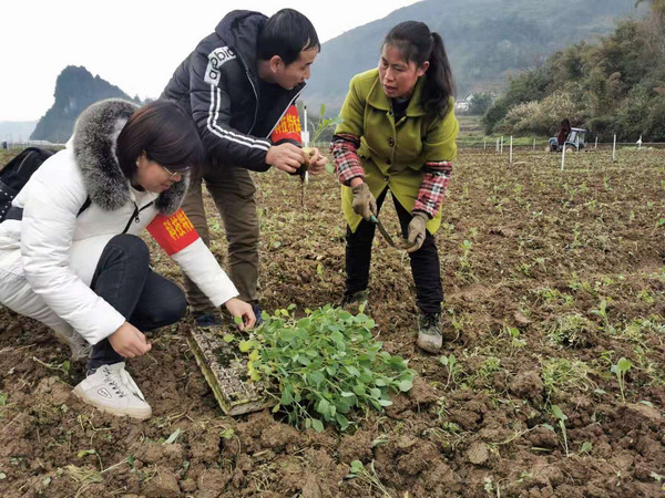 3��3���������ׯ�����Ƽ�����Ա��չ��������ֲ��������