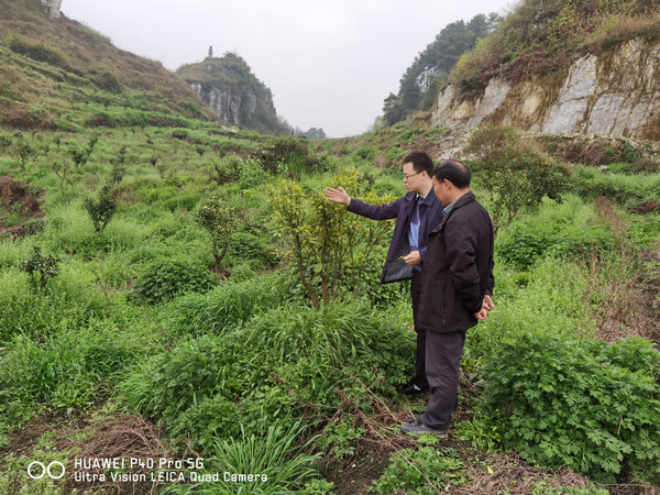 3��16�ճ�־����������ׯ�������ٲ��溦���μ���������ָ����