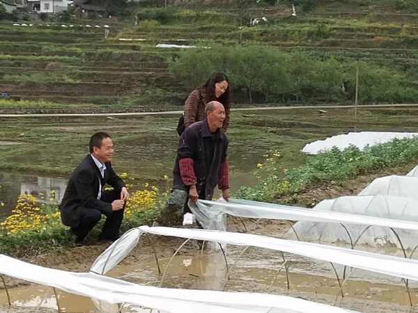 4��12�������������Ķ��ɫ��+ˮ��������ָ����