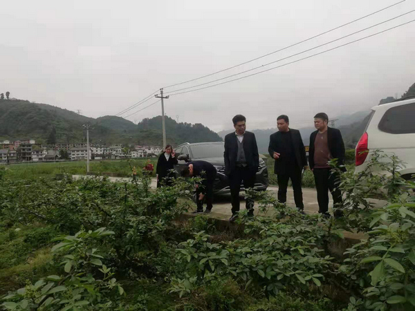 4��12������������ڰ��������Ҷ�໨�����ز��溦���Ρ�