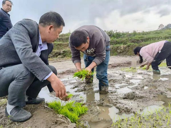 4��23����������������ˮ�����缰���溦�ֳ�ָ����