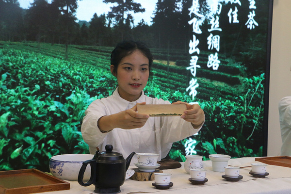 贵州大学茶学院学生进行茶艺表演。