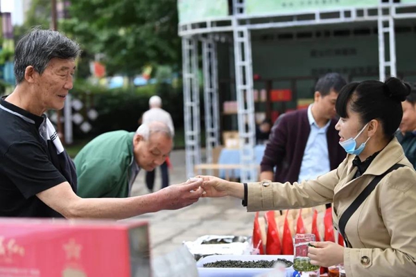 市民在活動現場品茗。