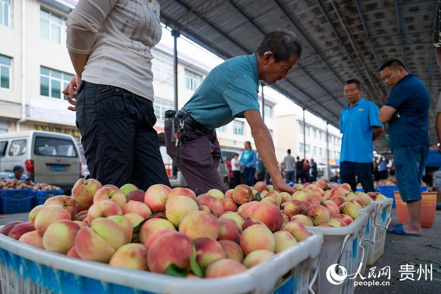  水果商贩在永乐村农产品交易市场内挑选刚刚采摘的艳红桃。人民网 涂敏摄