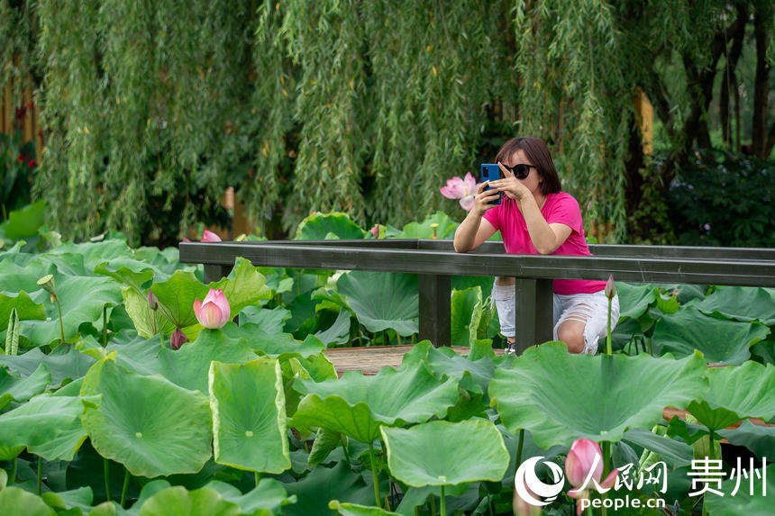 游客在景區荷花池內游玩、拍照。人民網 涂敏攝