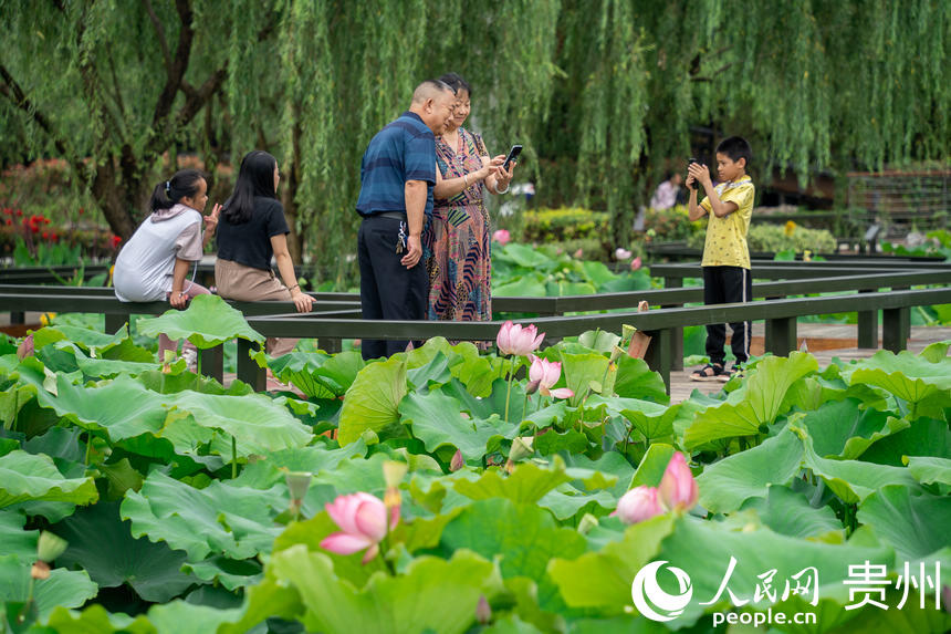 游客在景區荷花池內游玩、拍照。人民網 涂敏攝