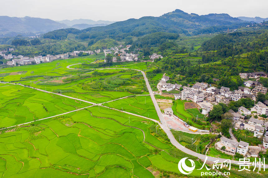 綠色的稻田與村寨組成一幅田園山水畫。人民網 涂敏攝