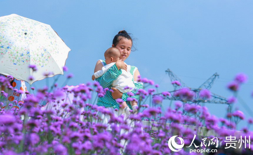 家長抱著孩子前來觀賞花海。人民網 陽茜攝