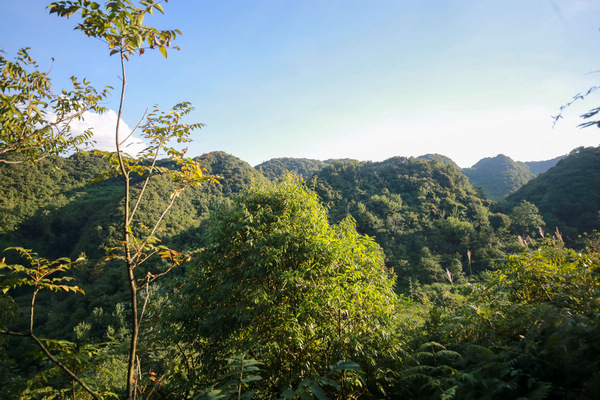 2021年9月5日，卢勇和妹妹卢敏在贵州省黔西市金兰镇宝石村石梁组守侯蜜蜂的大山。
