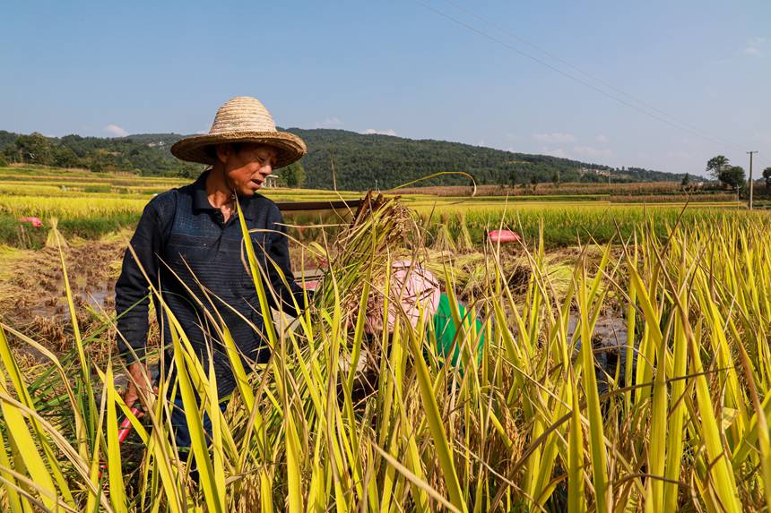 ����ʡǭ���н������������ץ��������ո�ˮ����