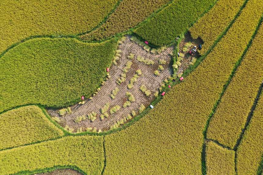 ����ʡǭ���н������������ץ��������ո�ˮ����