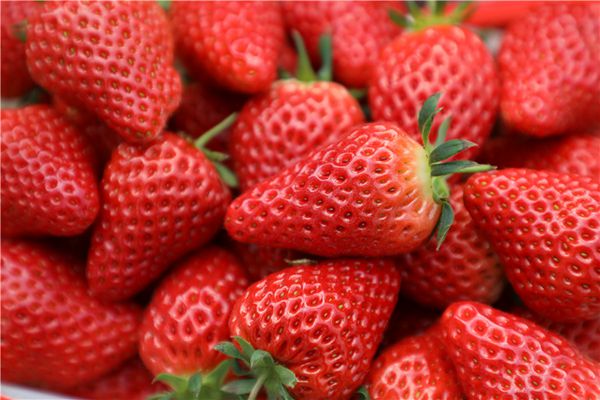 新鮮可口的草莓受消費者追捧。楊靖攝