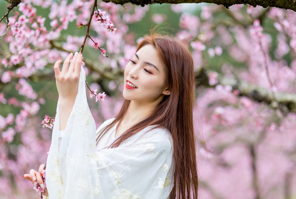 游客在岑鞏縣的桃園賞花。