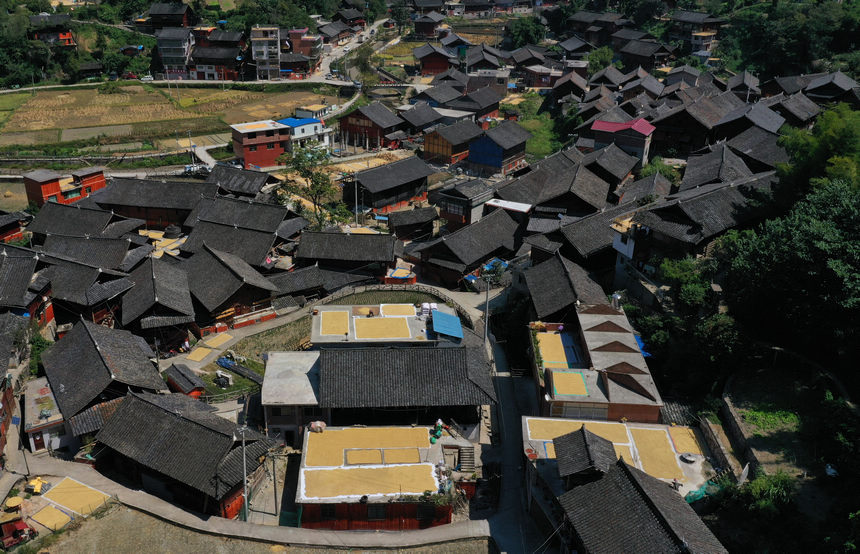 9月26日，在贵州省丹寨县兴仁镇翻杠苗寨，村民在晾晒收获的稻谷（无人机照片）。