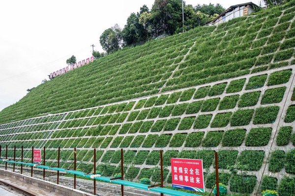 边坡绿化。