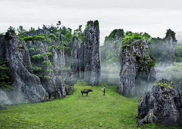 石林叠翠。李晓谭