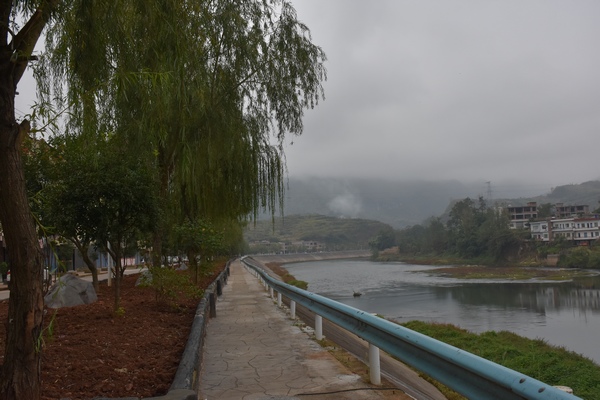 清晨濱河路。