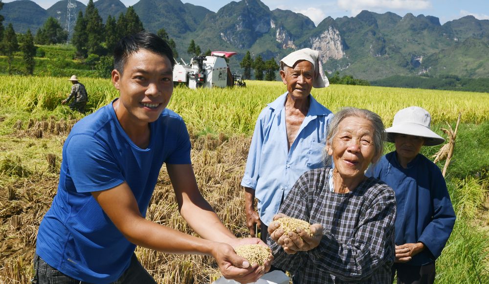 貴州羅甸：五年深耕結碩果 農業增收又增效