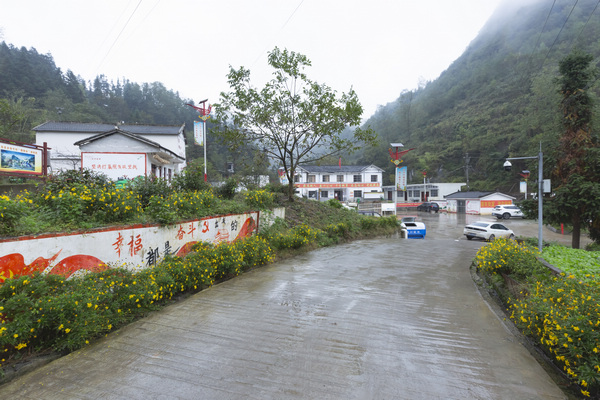纳雍县厍东关乡李子村。郑林华摄