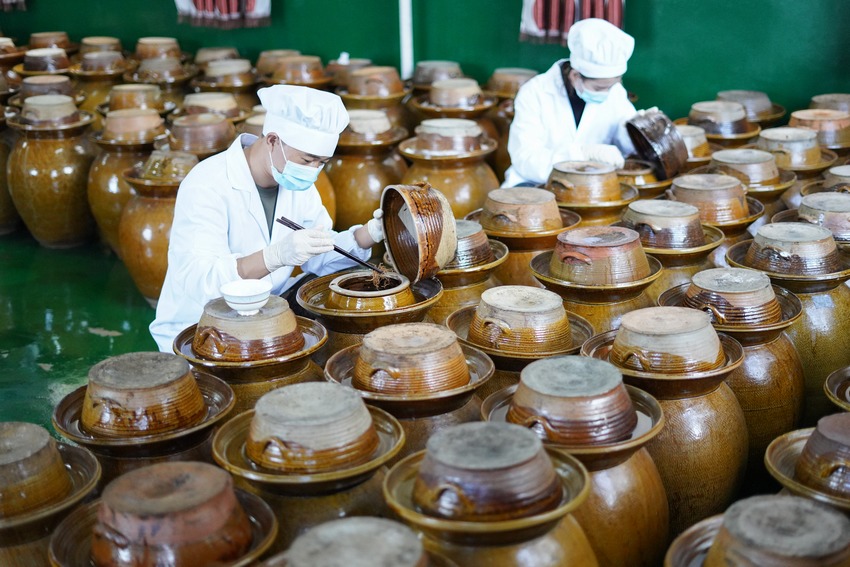 11月5日，在贵州省丹寨县龙泉镇马寨村溪林韭菜根加工厂，陈章林（左）和工人在查看韭菜根腌制情况。