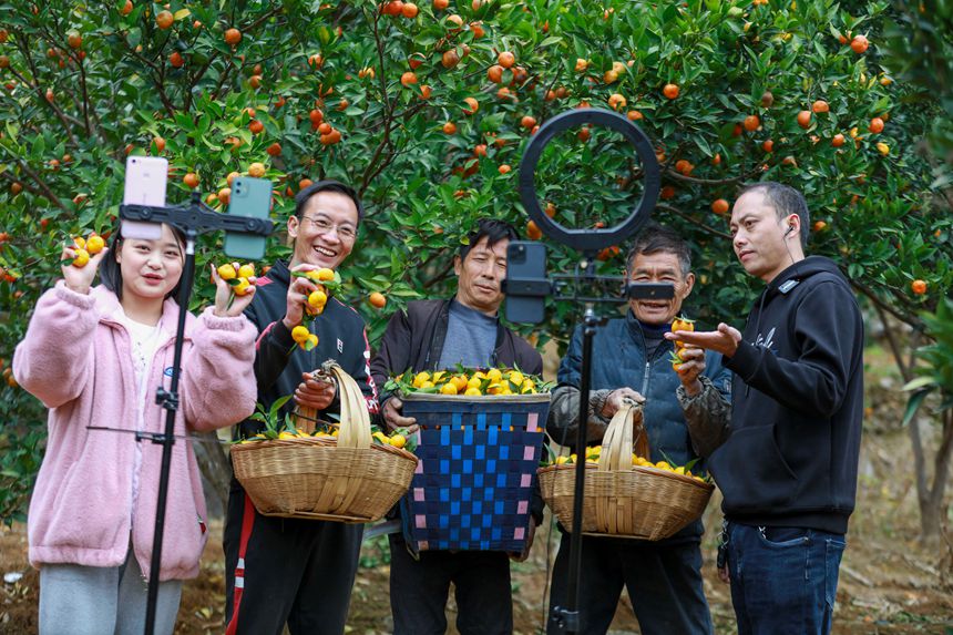 ����ʡǭ���д���л����̷������Ĺ�����Ա����һ��ָ��������������·���ɲ��ʹ����ֻ�ֱ�������ӡ�