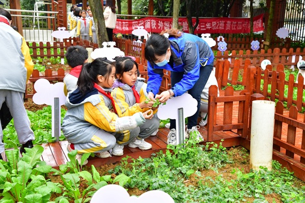 同學們在科學實驗田裡採摘蔬菜。觀山湖區融媒體中心供圖