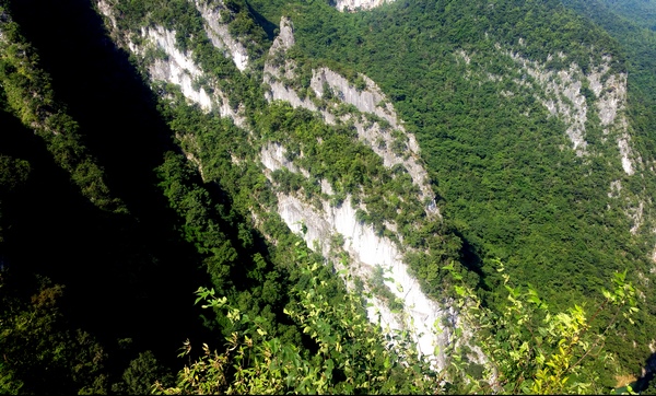 思渠孔雀山。