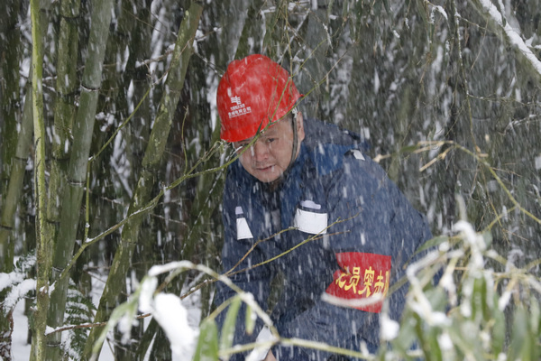 清理樹木積雪。