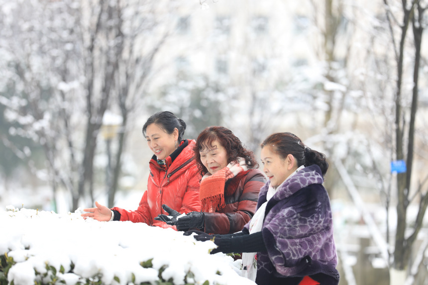 市民在七星关区同心城市公园内欣赏雪景。李杰摄