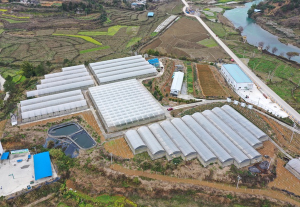 2月19日拍摄的罗甸县沫阳镇沫阳村的蔬菜育苗基地（无人机照片）。