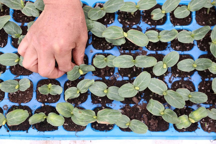 2��28�գ������ڹ���ʡǭ�������嶱�������ݵ�կ��������ǽ���ܻ��������硣