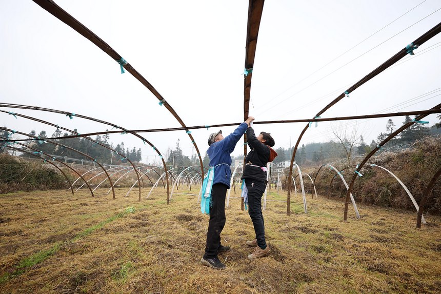 2��28�գ������ڹ���ʡǭ�������嶱�������ݵ�կ���������ղ�������������