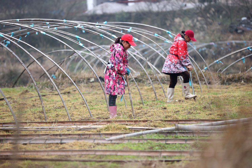 2��28�գ������ڹ���ʡǭ�������嶱�������ݵ�կ���������ղ�������������