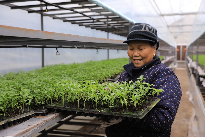 3��1�գ�ũ���ڹ���ʡǭ�������嶱�������ݽ����������һ��������ز鿴�����硣 