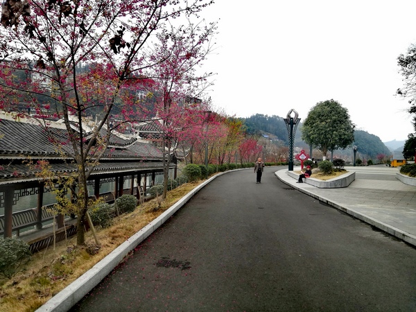 群众在沿河散步。