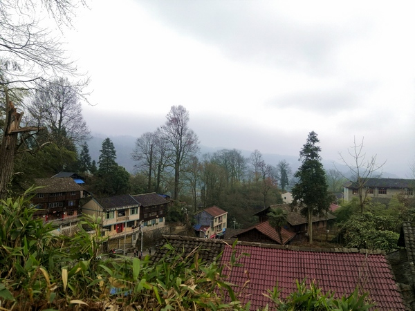 瑤白村景一角。