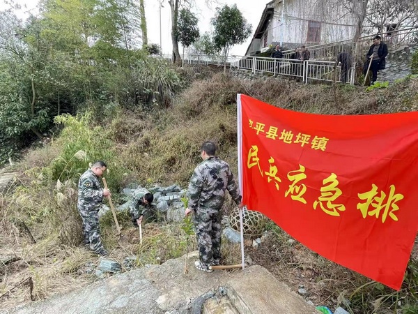 黎平縣組織基干民兵植樹現場。